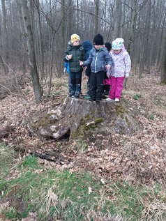 Vyrážíme se učit do lesa
